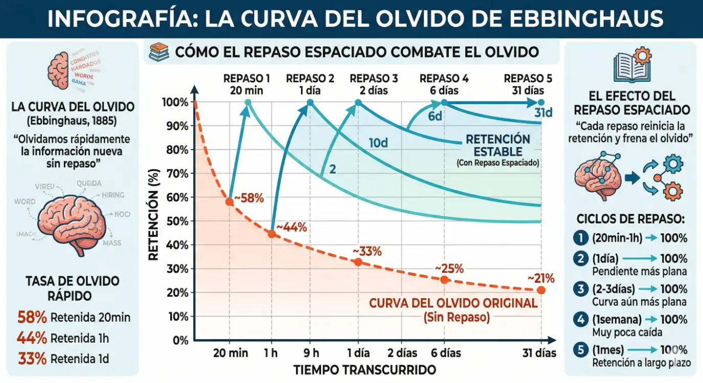 Gráfico que compara la curva del olvido sin repasos (caída rápida) frente a la retención con repasos espaciados (curva cada vez más estable)